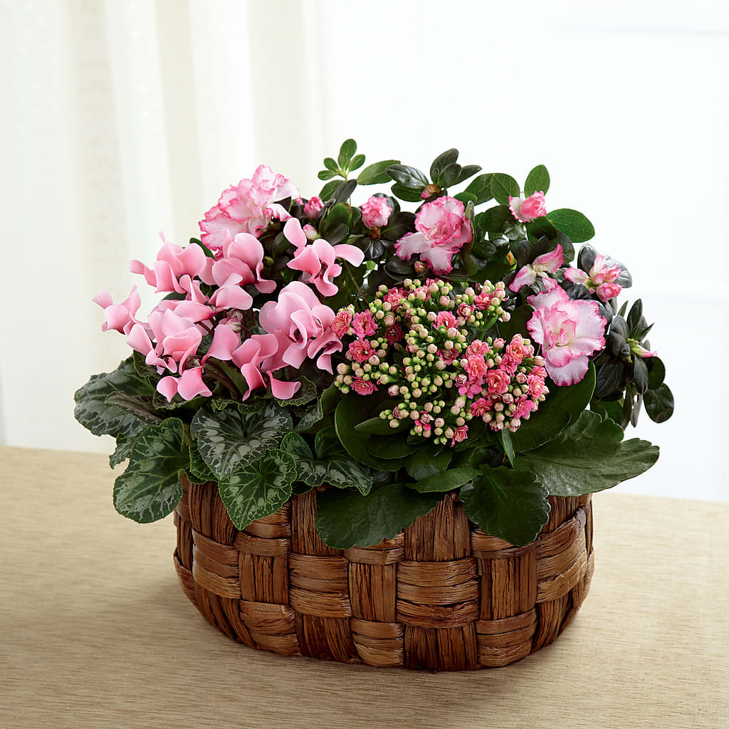 Pink Assortment – A Miracle Florist, Oxnard CA
