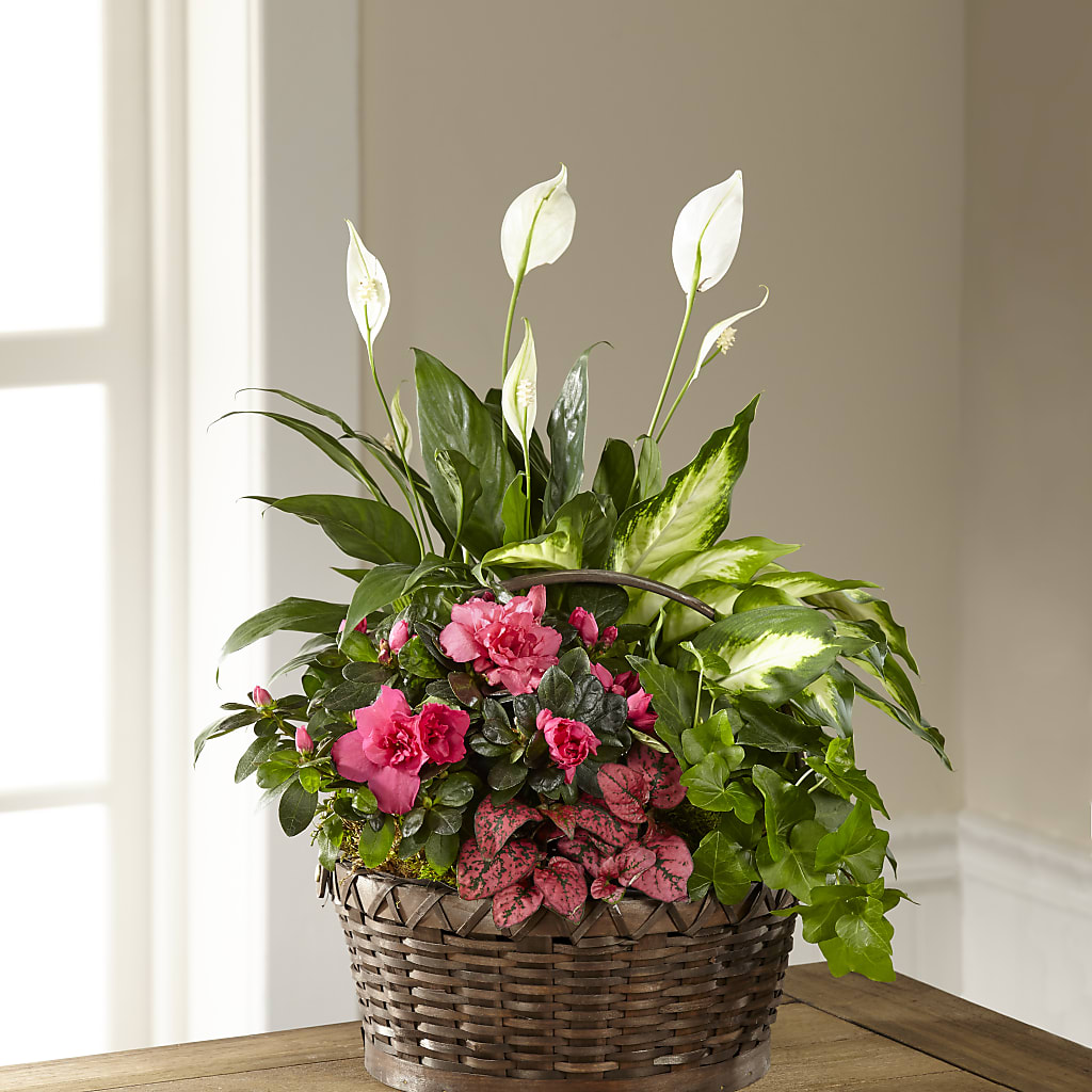 Dream in Pink Dishgarden – A Miracle Florist, Oxnard CA