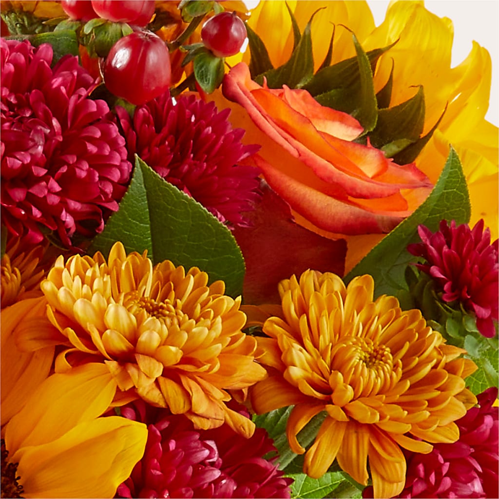 Sweater Season - A Florist Original – A Miracle Florist, Oxnard CA