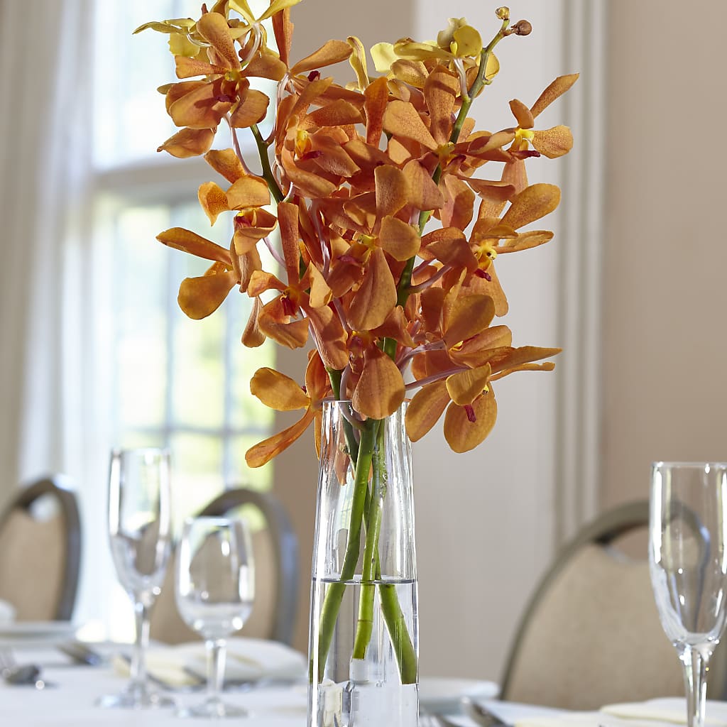 Orange Mokara Bud Vase – A Miracle Florist, Oxnard CA