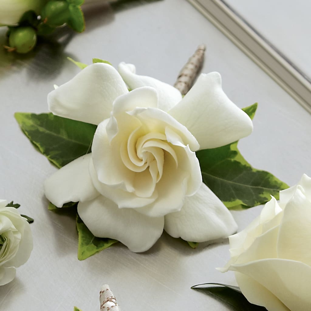 Gardenia Boutonniere – A Miracle Florist, Oxnard CA