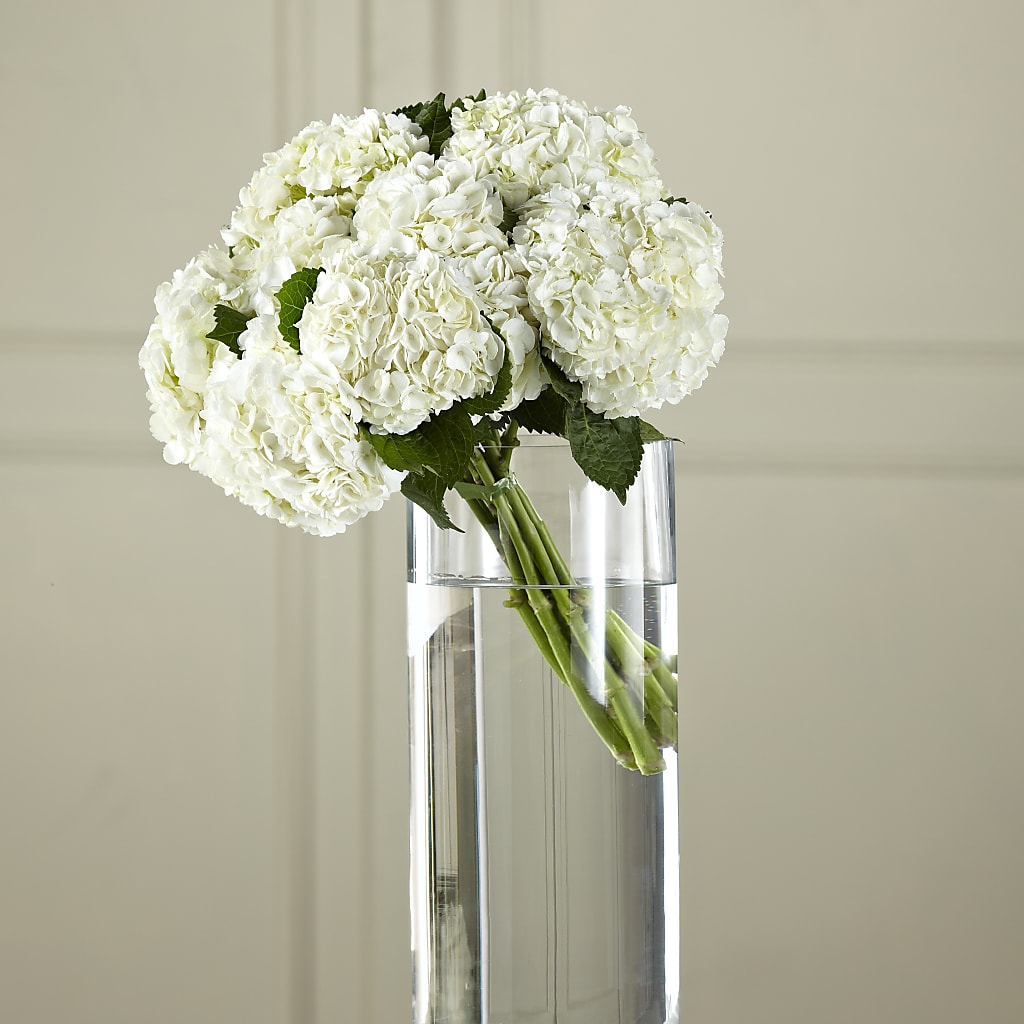 White Hydrangea Hand-Tied Bouquet – A Miracle Florist, Oxnard CA