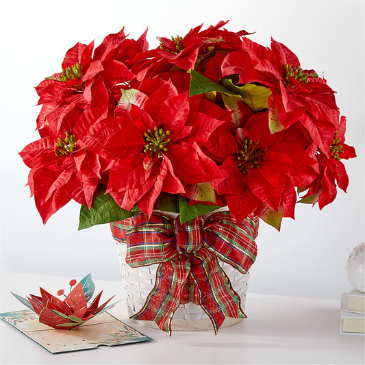 Happiest Holidays Poinsettia and Lovepop Card –  A Miracle Florist, Oxnard CA