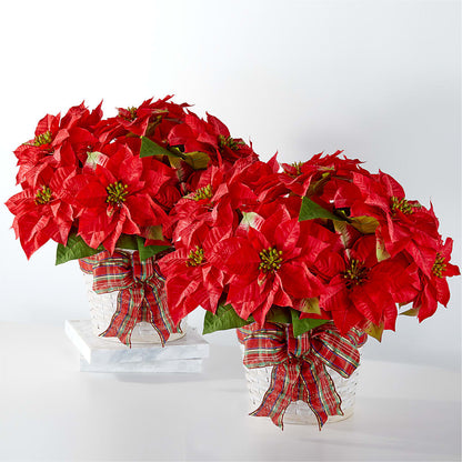 Happiest Holidays Poinsettia Bundle –  A Miracle Florist, Oxnard CA