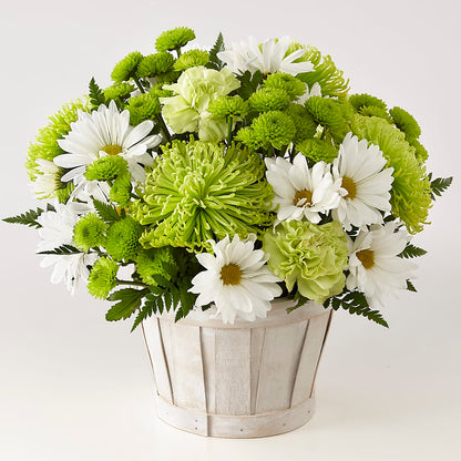 Lucky Charm Basket (Standard) –  A Miracle Florist, Oxnard CA