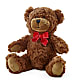 Adorable Plush Bear –  A Miracle Florist, Oxnard CA