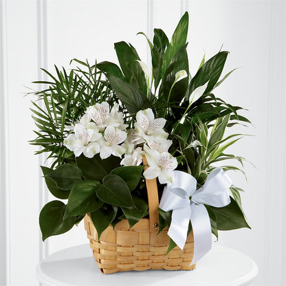 Peace & Serenity Dishgarden –  A Miracle Florist, Oxnard CA