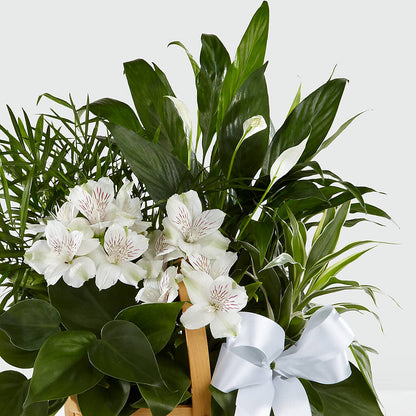 Peace & Serenity Dishgarden –  A Miracle Florist, Oxnard CA