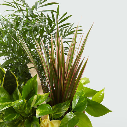 French Garden –  A Miracle Florist, Oxnard CA