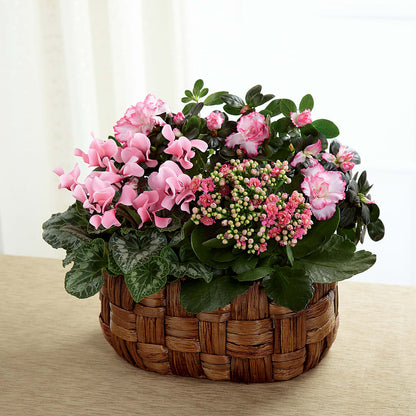 Pink Assortment –  A Miracle Florist, Oxnard CA