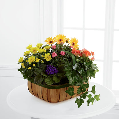 Gentle Blossoms Basket –  A Miracle Florist, Oxnard CA