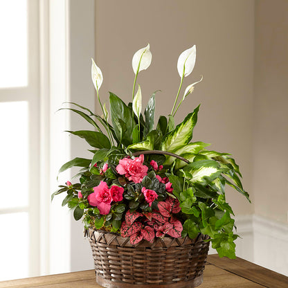 Dream in Pink Dishgarden –  A Miracle Florist, Oxnard CA