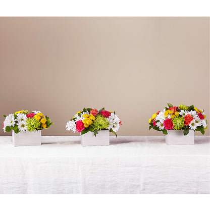 Sorbet Bouquet –  A Miracle Florist, Oxnard CA