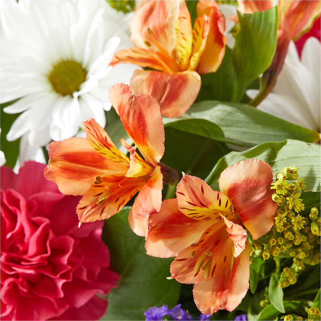 Oopsie Daisy Box Bouquet –  A Miracle Florist, Oxnard CA