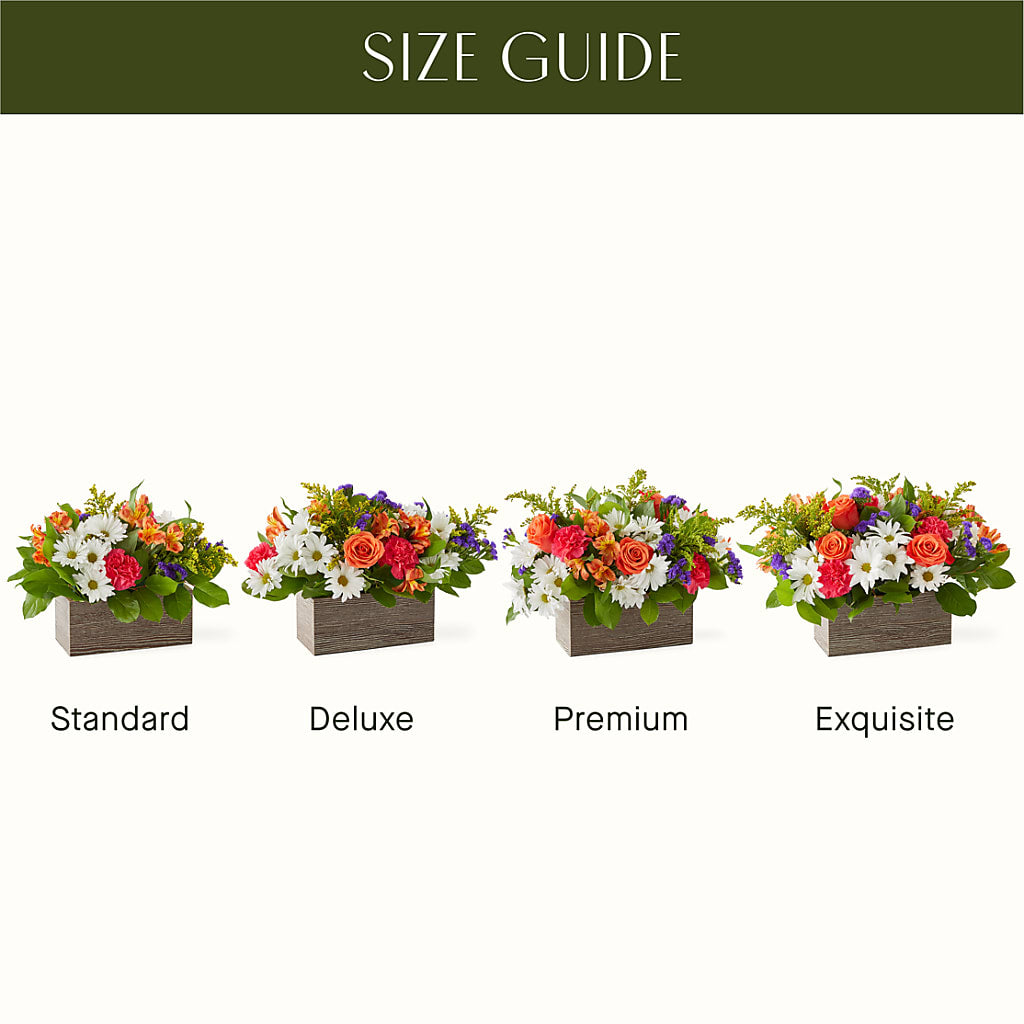 Oopsie Daisy Box Bouquet –  A Miracle Florist, Oxnard CA