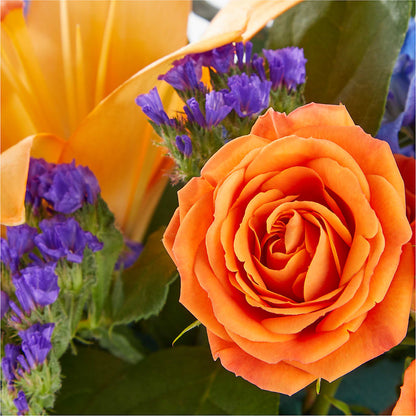 Radiant Citrus Box Bouquet –  A Miracle Florist, Oxnard CA