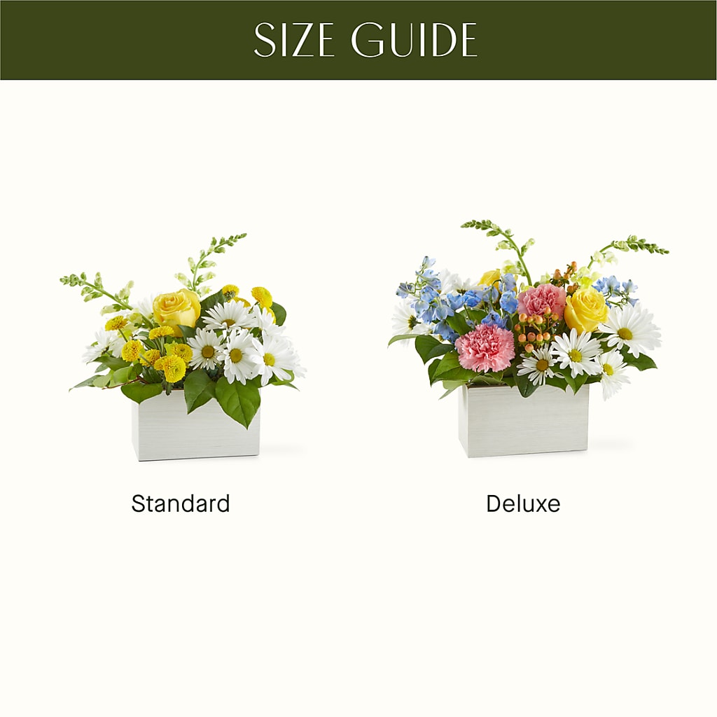 Sun Salutation Box Bouquet –  A Miracle Florist, Oxnard CA