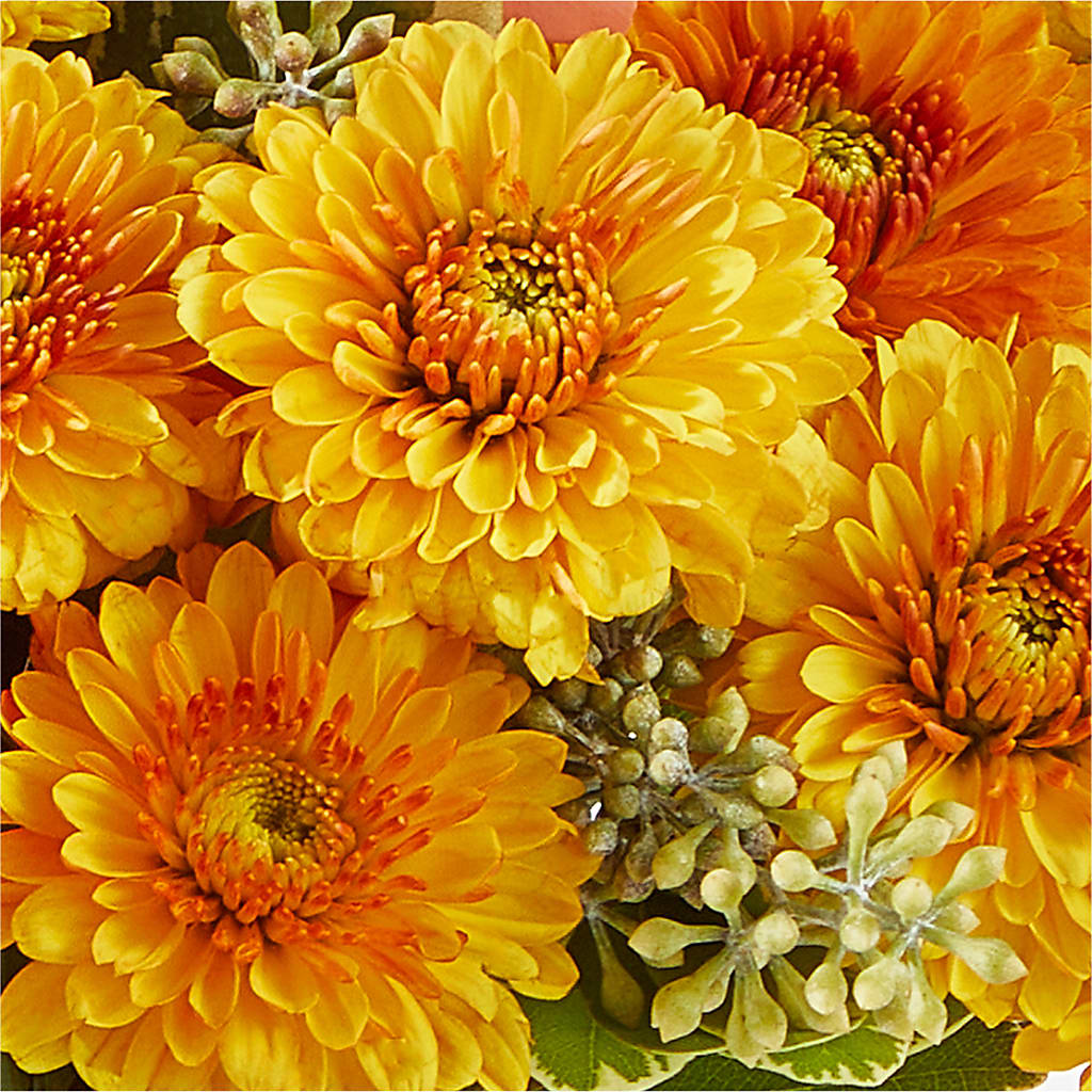 Peachy Pumpkin –  A Miracle Florist, Oxnard CA