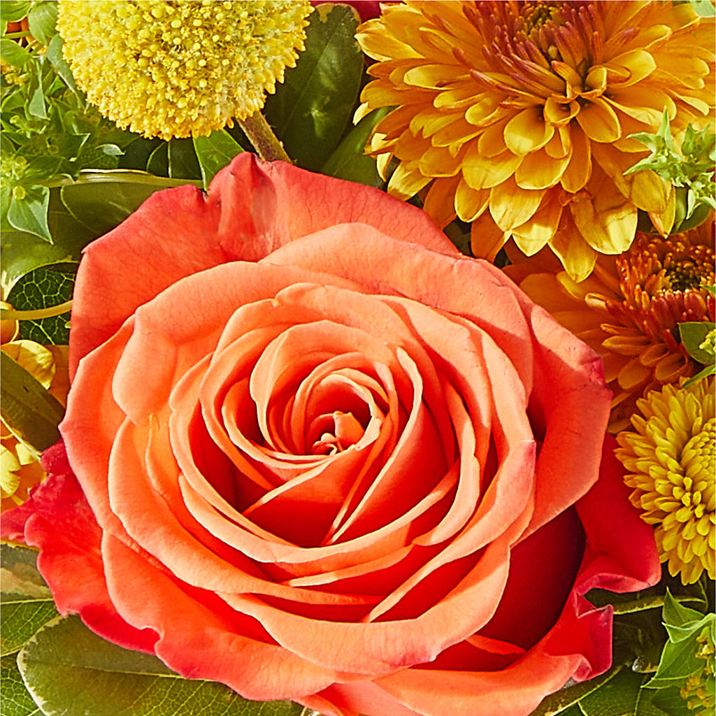 Gourdgeous Pumpkin –  A Miracle Florist, Oxnard CA