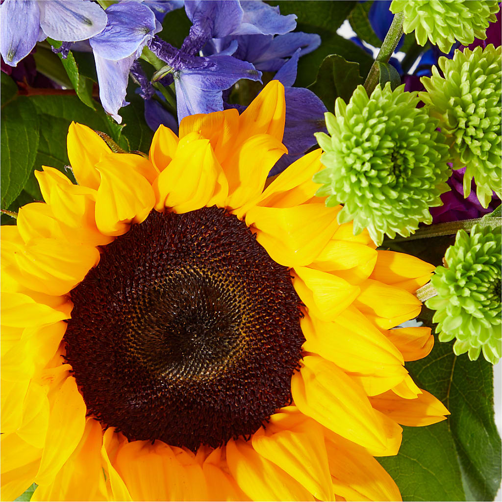 Catching Rays Bouquet –  A Miracle Florist, Oxnard CA