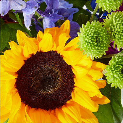 Catching Rays Bouquet –  A Miracle Florist, Oxnard CA