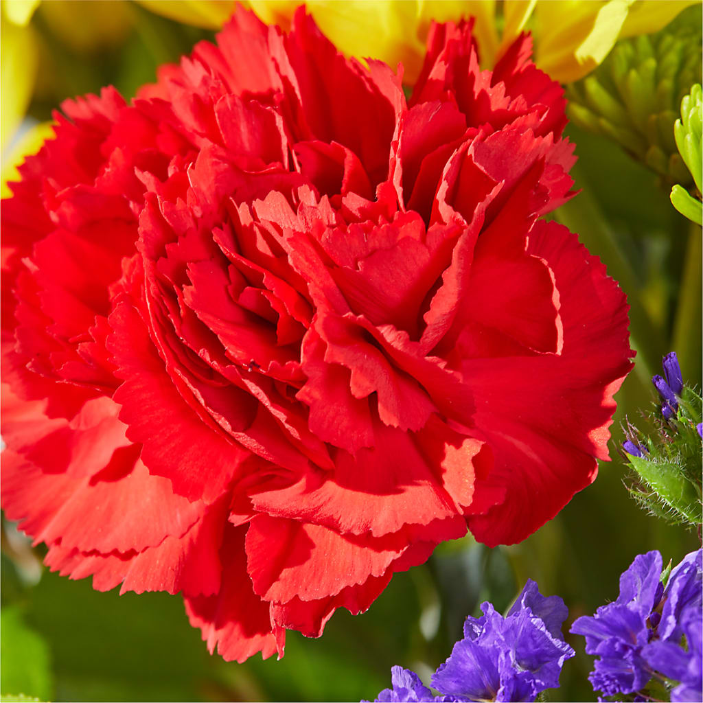 Brighter Days Bouquet –  A Miracle Florist, Oxnard CA