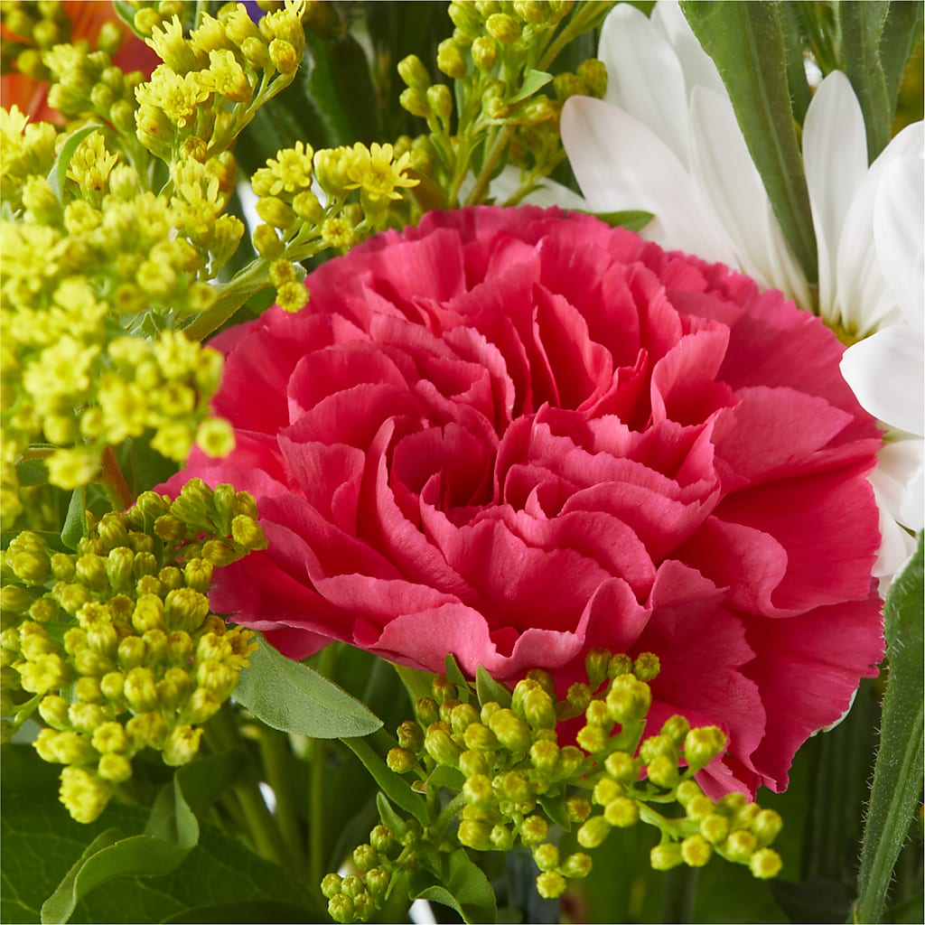 Oopsie Daisy Bouquet –  A Miracle Florist, Oxnard CA