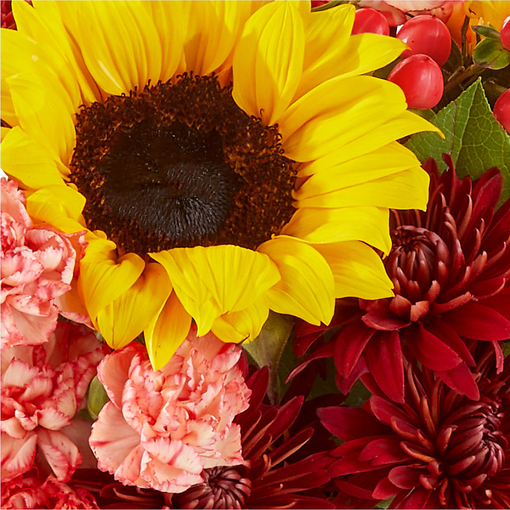 Fresh Cider Bouquet –  A Miracle Florist, Oxnard CA