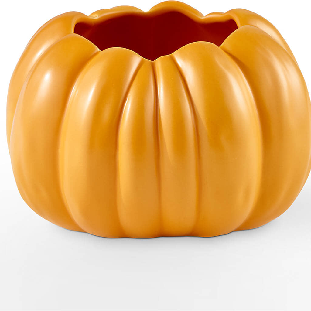 Golden Gourd Pumpkin Bouquet –  A Miracle Florist, Oxnard CA