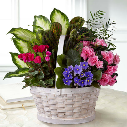 Peaceful Garden Planter –  A Miracle Florist, Oxnard CA