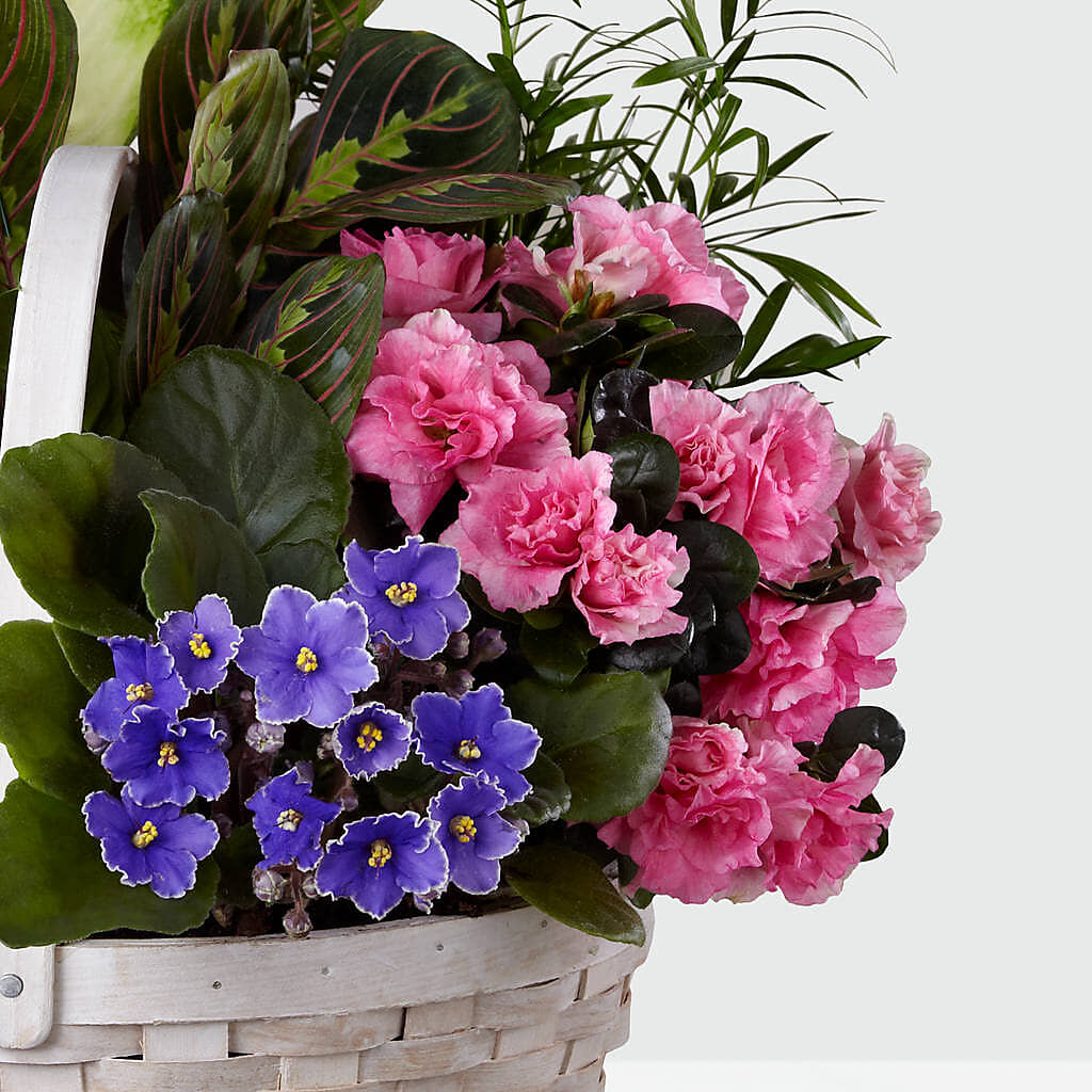 Peaceful Garden Planter –  A Miracle Florist, Oxnard CA