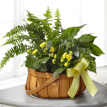 Always Dear Dishgarden –  A Miracle Florist, Oxnard CA