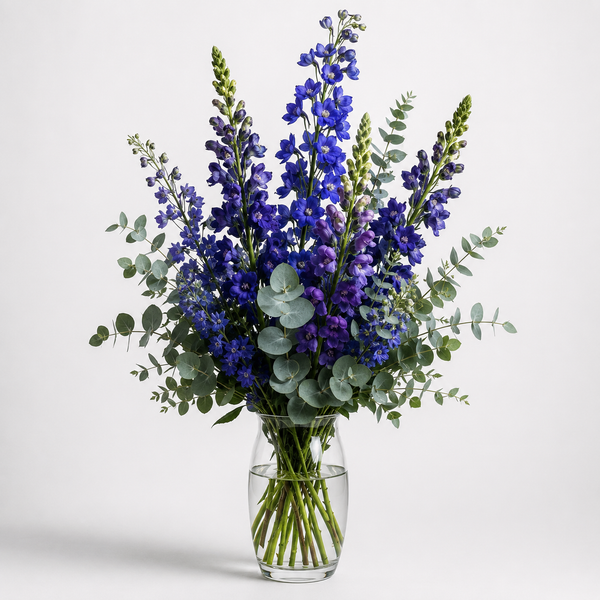 Twilight Delphinium –  A Miracle Florist, Oxnard CA