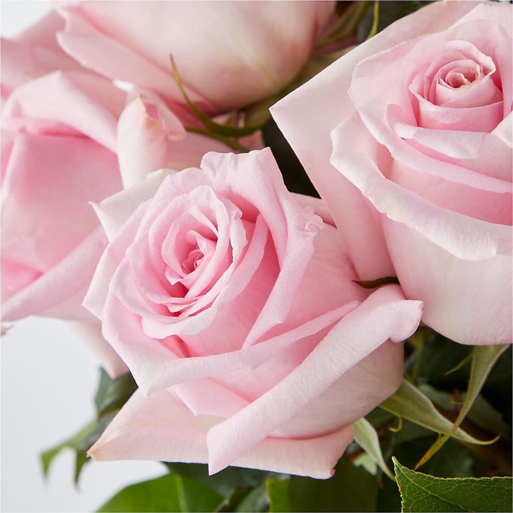 Picture Perfect Pink Rose Bouquet –  A Miracle Florist, Oxnard CA