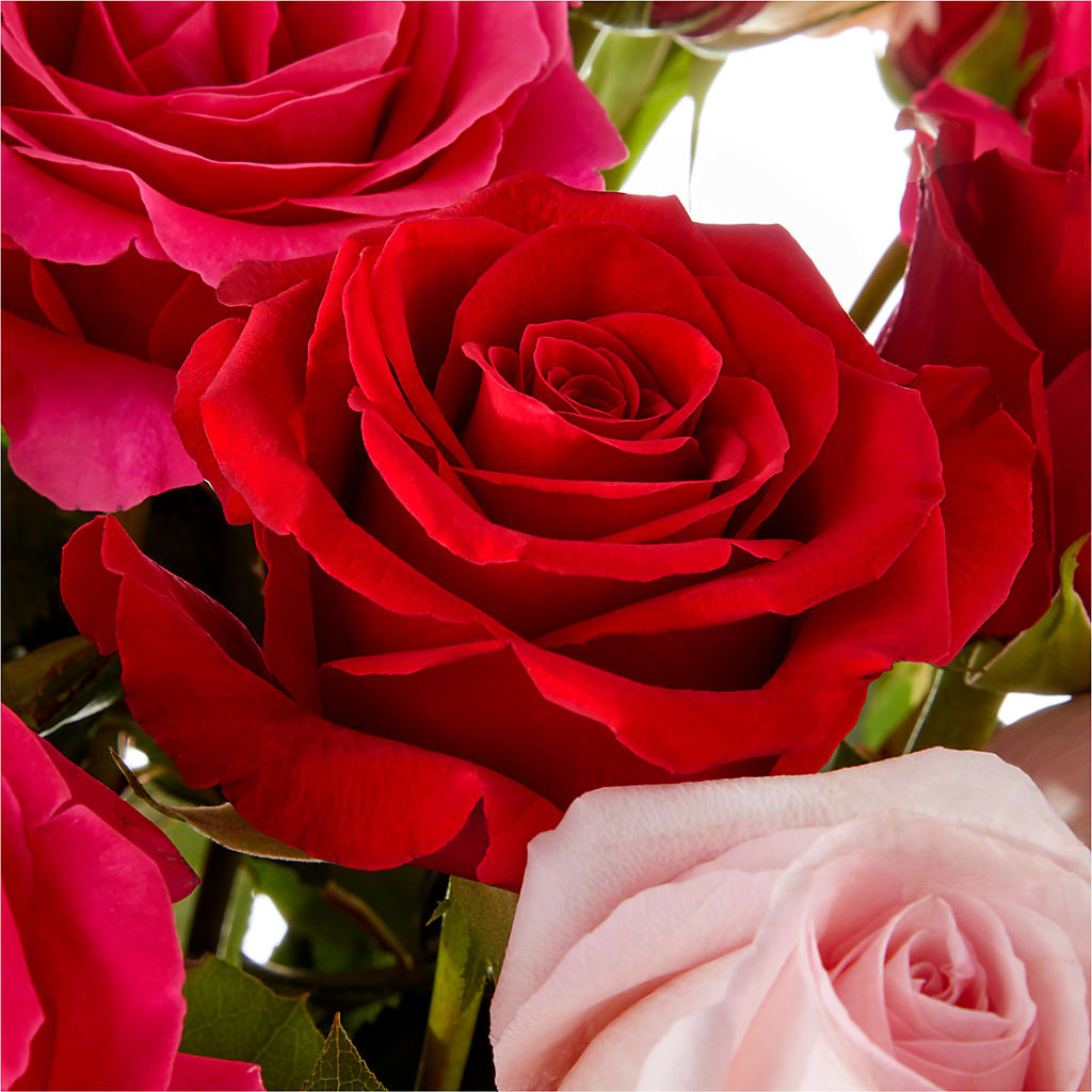 Love Notes Rose Bouquet –  A Miracle Florist, Oxnard CA