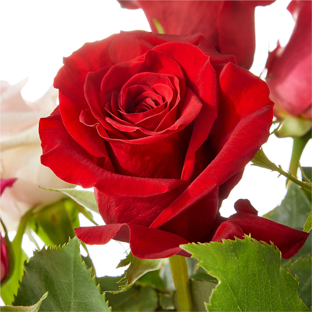 Love Notes Rose Bouquet –  A Miracle Florist, Oxnard CA