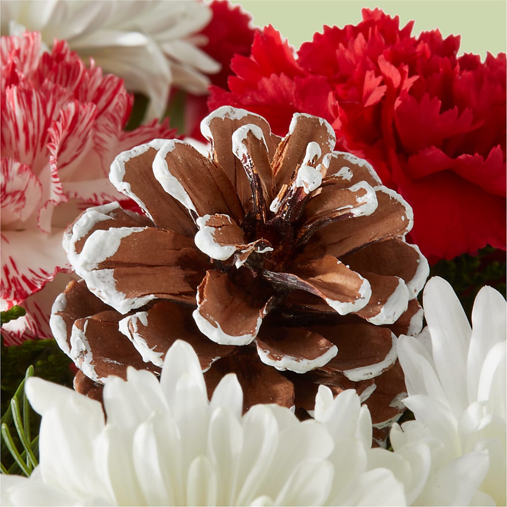 Candy Cane Lane Bouquet –  A Miracle Florist, Oxnard CA