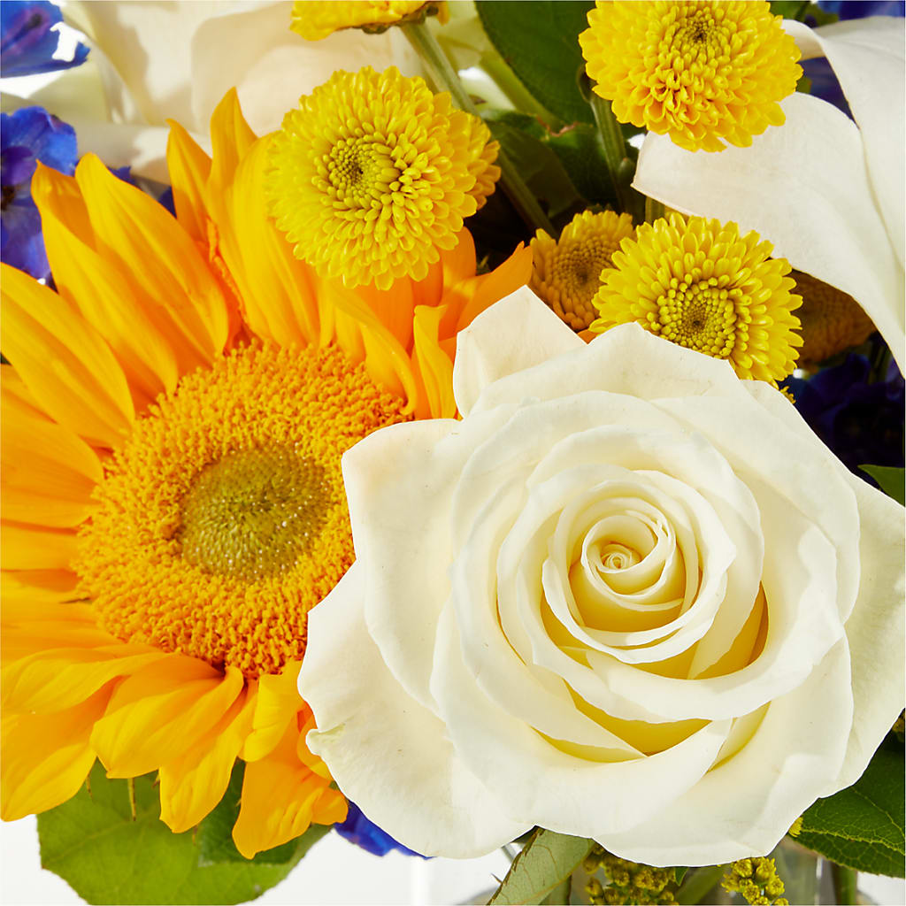 Stargazing Bouquet –  A Miracle Florist, Oxnard CA