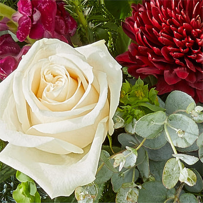 Cranberry Fizz Bouquet –  A Miracle Florist, Oxnard CA