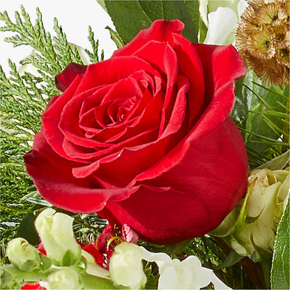 Deck the Halls Bouquet –  A Miracle Florist, Oxnard CA