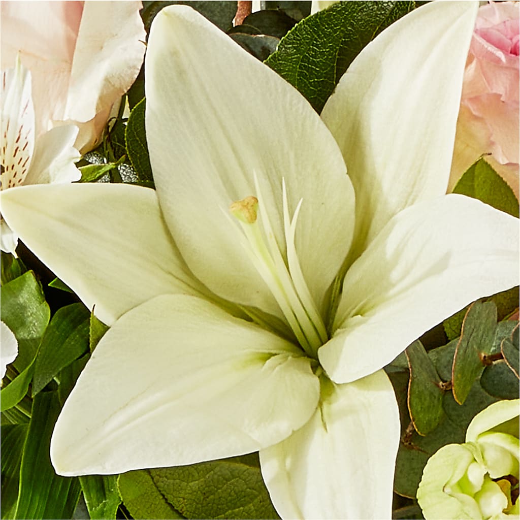 Ballet Slippers Bouquet –  A Miracle Florist, Oxnard CA