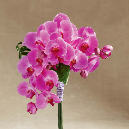 Glorious Bouquet –  A Miracle Florist, Oxnard CA