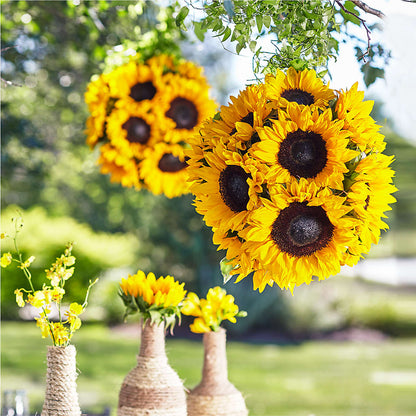 Sublime Garden Hanging Arrangement –  A Miracle Florist, Oxnard CA