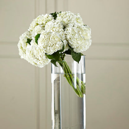 White Hydrangea Hand-Tied Bouquet –  A Miracle Florist, Oxnard CA