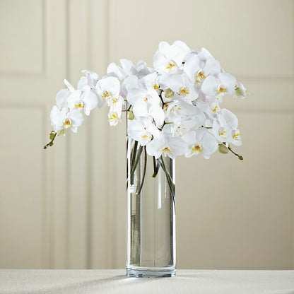 White Phalaenopsis Bouquet –  A Miracle Florist, Oxnard CA